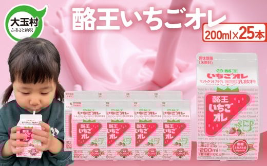 酪王 いちご オレ 200ml×25本セット ｜ 福島県 大玉村 いちご オレ 牛乳 こども ご当地 福島県 大玉村 | pl-st-200ml-25s