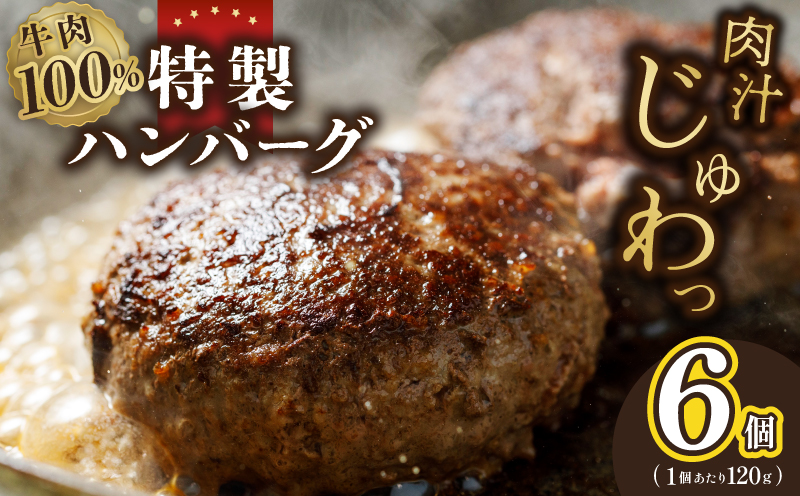 【特別規格】牛肉100％ 特製ハンバーグ 120g×6個 個包装 お試し G1731