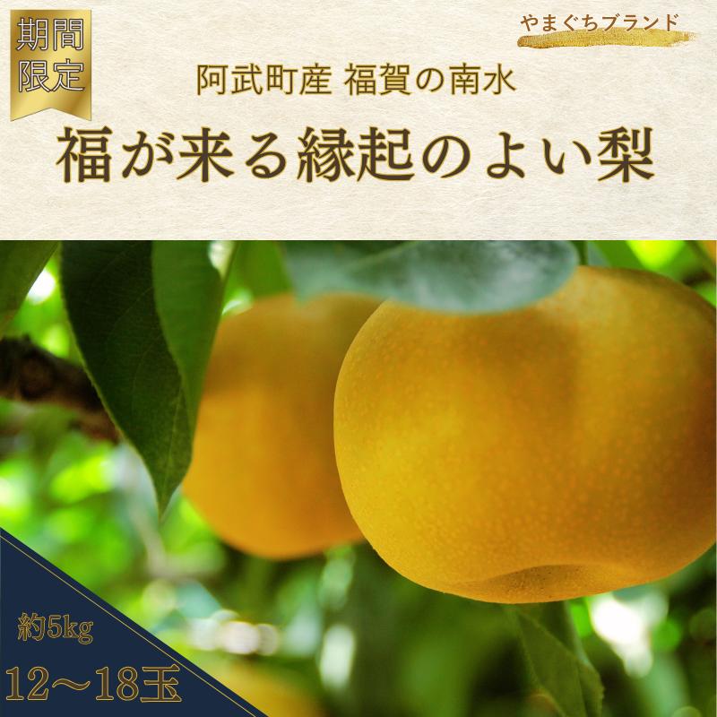 
            【 先行予約 】 南水梨 約5kg（12～18玉） 福賀産（山口県 阿武町） 高糖度＆シャキシャキ食感 やまぐちブランド認定の旬の味 梨 フルーツ 果物 デザート 【お届け：2025年9月20日頃～順次出荷】 数量限定
          