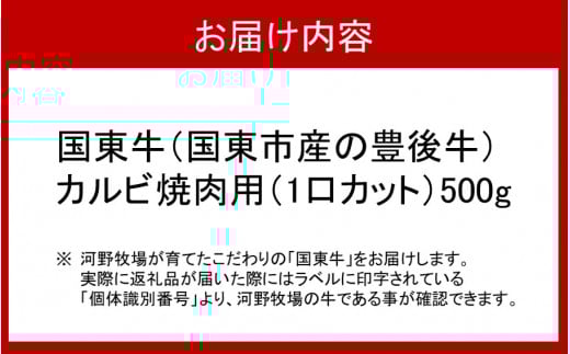 国東牛（国東市産の豊後牛）カルビ焼肉用（1口カット）500g_2212R_イメージ5
