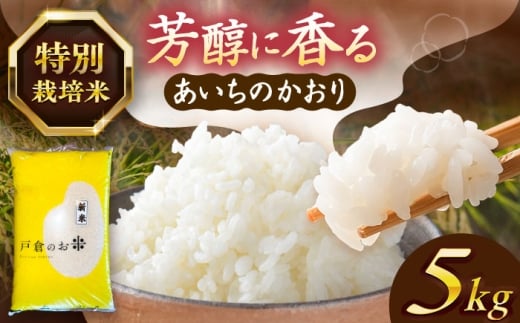【5kg／4月発送】 あいちのかおり 白米 5kg お米 ご飯 米 お米 5kg 5キロ 白米 精米 新米 コメ ご飯 ごはん 愛知県産 国産 県産米 国産米 あいちのかおり 産地直送 令和7年 愛西市 / 株式会社戸倉トラクター [AECS001-04]