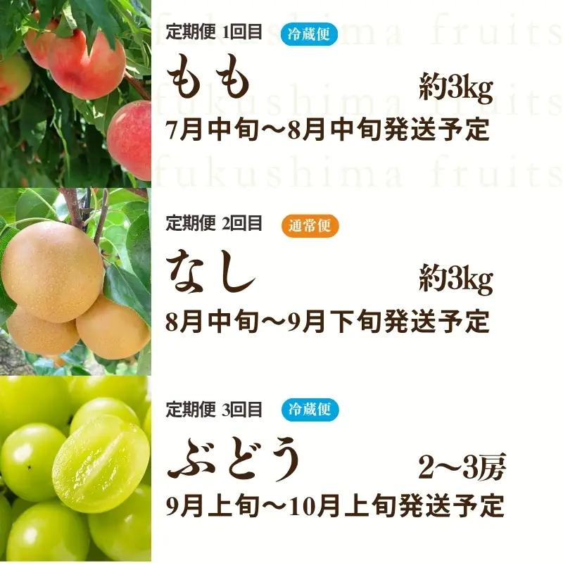 【2027年発送】フルーツ３種定期便　（桃約３kg、梨約３kg、ｼｬｲﾝﾏｽｶｯﾄ2～3房）No.2528 