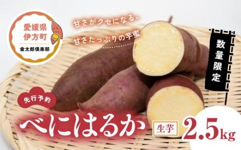 【先行予約】【数量限定】べにはるか 生芋（2.5kg）| 紅はるか さつまいも サツマイモ 産地直送　※2024年12月上旬～2025年4月下旬頃に順次発送予定