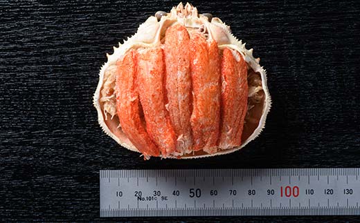 北海道産 オオズワイガニ甲羅盛（約80-90g）×3個※かにみそ無し＜道産ネットミツハシ＞ かに カニ ズワイ蟹 北海道 森町 ふるさと納税 mr1-0445_イメージ4