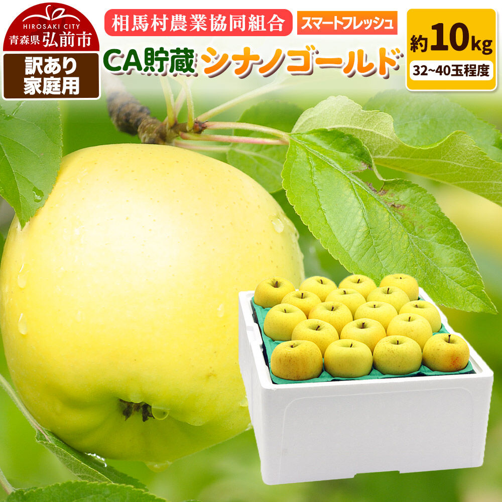 【寄附金額見直しました】りんご シナノゴールド【訳あり】家庭用 約10kg（32～40玉程度）CA スマートフレッシュ [シナノゴールド りんご 10キロ アップル おいしい 黄色 果実 果物 美味 林檎]