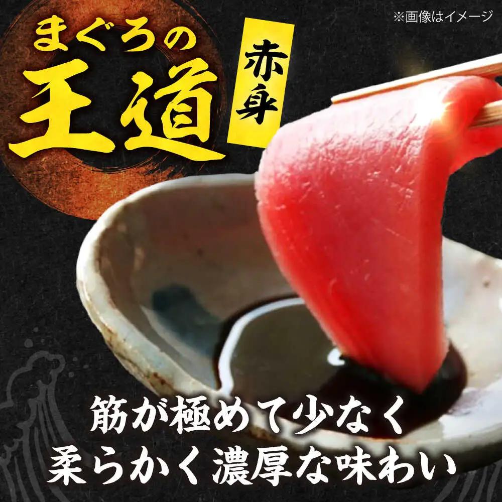 【全6回定期便】たね熟天然本まぐろ赤身＆中トロセット(320g 各160g)[AOCE041]マグロ