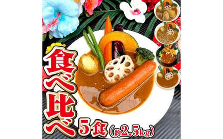 冷凍 スープカレー 食べ比べ 5食 セット 計約2.5kg ／ チキン キーマ ウインナー 薬膳 ベジタブル カレー レトルトカレー レトルト食品 詰め合わせ