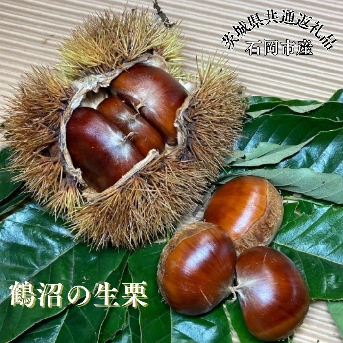 
                  石岡鶴沼の 生栗　1～3kg（茨城県共通返礼品・石岡市産） / 栗 くり クリ 生栗 和栗 1kg 2kg 3kg 秋の味覚 利根町 送料無料
                