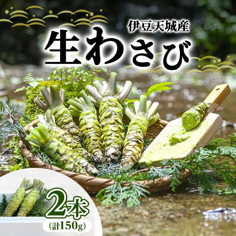 生わさび 伊豆天城産 2本 計150g 調味料 薬味 生わさび