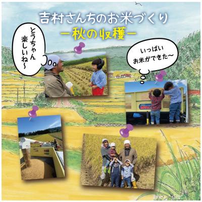 ふるさと納税 十日町市 令和7年産 新米 |従来品種| 魚沼産 コシヒカリ 精米 2kg×4袋 計8kg 吉村さんちのお米 |  | 03