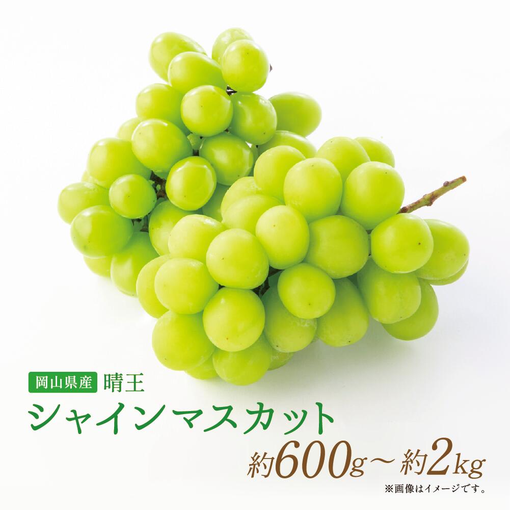 【ふるさと納税】《選べる容量》【岡山県産】晴王 シャインマスカット 約600g～約2kg ぶどう ブドウ 葡萄 くだもの 果物 果実 フルーツ マスカット 冷蔵 岡山県産 国産 岡山県 奈義町 送料無料 【2025年9月上旬〜11月下旬発送予定】