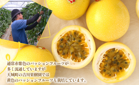 徳之島 天城町 吉川果樹園 家庭用 イエローパッションフルーツ 約1kg パッションフルーツ 混合サイズ AB-36-N