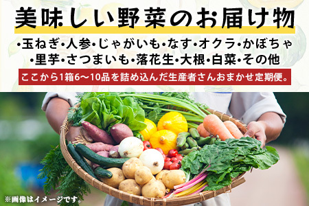 【生産者直送】鹿島市産　生産者おまかせ野菜２回定期便（夏５月～７月、秋９～１１月）　B-739