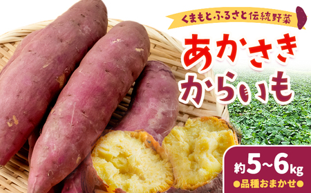 芋あかさきからいも 約5kg～6kg  わらく農園《11月中旬-11月下旬頃出荷》