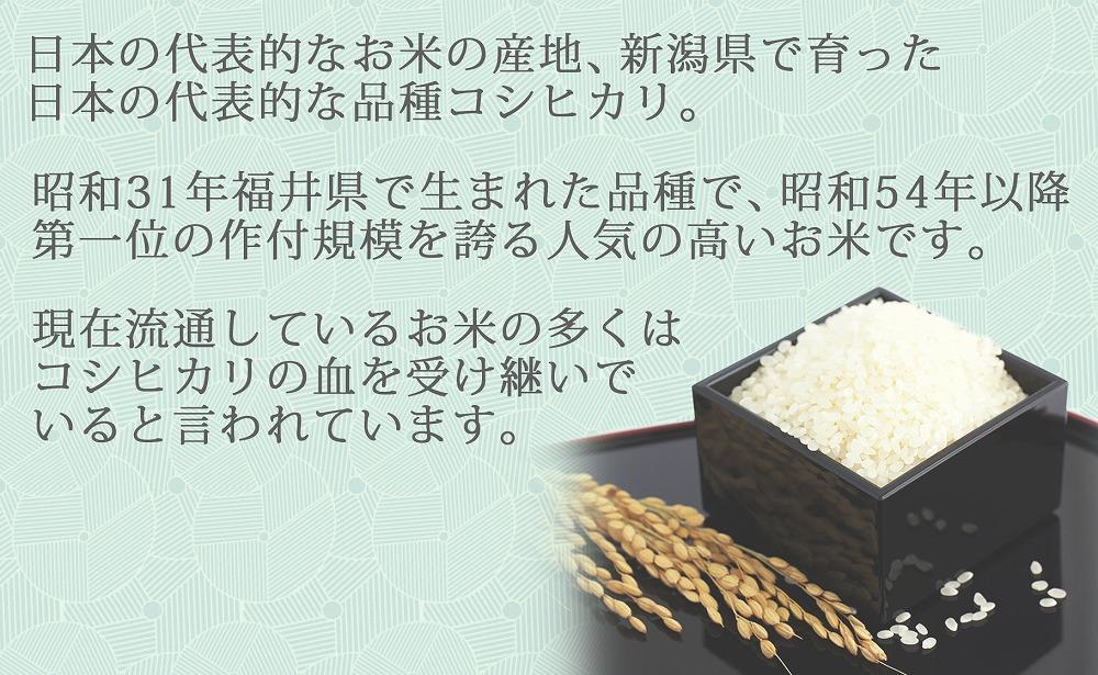 【定期便全12回】無洗米新潟県産コシヒカリ5kg