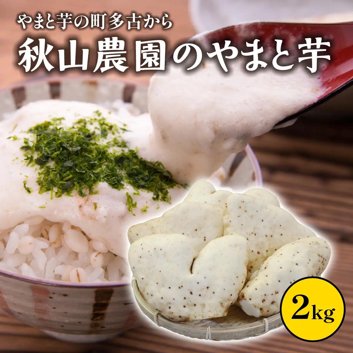 やまと芋の町 多古から「秋山農園のやまと芋」2kg_野菜 自然薯 根菜 じねんじょ ジネンジョ 【配送不可地域：離島・沖縄県】TAKF049
