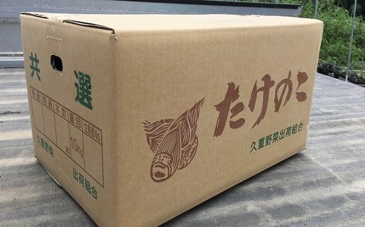 【先行受付】農家厳選「朝堀たけのこ」 4kg予約 4月中旬発送 熊本県 南関町産 春 筍