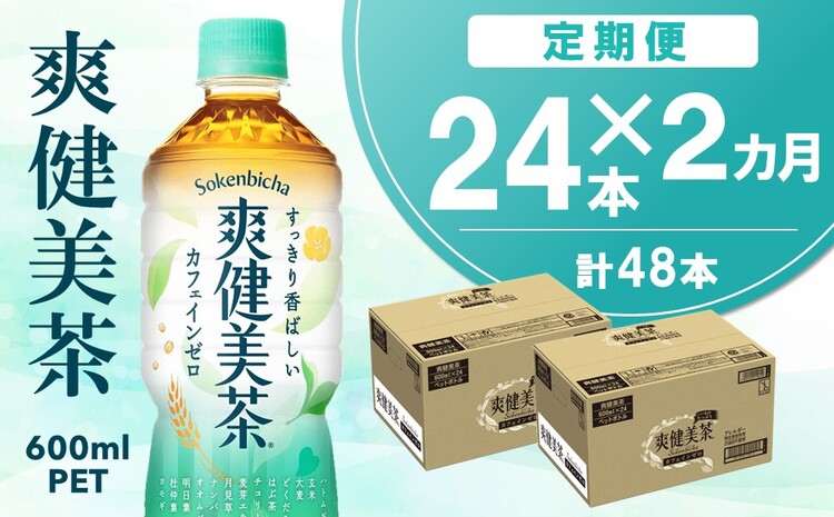 【2カ月定期便】爽健美茶 600mlPET×24本(合計2ケース)【コカコーラ カフェインゼロ 定期便 香ばしい おいしい 国産 お茶 ハトムギ 玄米 月見草 大麦 ドクダミ 飲料 ペットボトル】A5