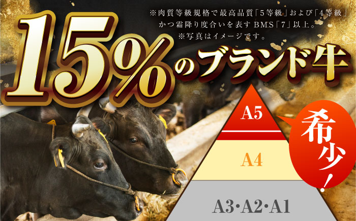 【全6回定期便】佐賀牛 焼肉セット（モモ/カタ赤身/肩ロース） 【吉祥】 [HCW010]