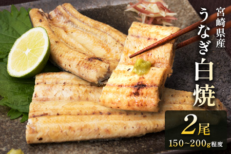 うなぎ 白焼き 2尾 計300g以上 鰻 化粧箱入り 蒲焼たれ付 C427