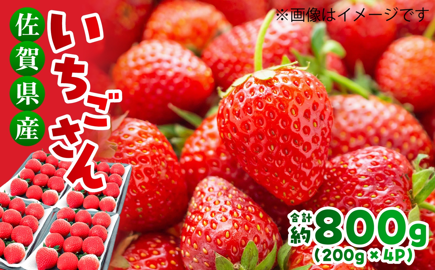 
                  【予約受付開始・12月-4月発送】佐賀県産 いちごさん 約800g（約200g×4P）| 苺 いちご イチゴ ストロベリー 果物 フルーツ | 吉野ヶ里町/TZファーム[FDF001]
                