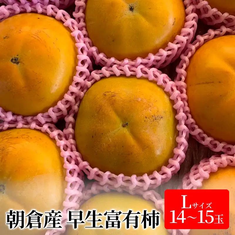 柿 富有柿 早生 Lサイズ 14～15玉入 かき カキ 柿