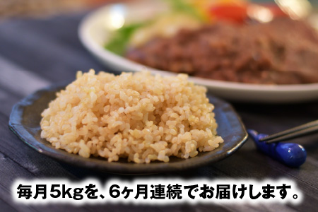 【令和7年産】【農家直送定期便 6ヶ月コース】【玄米】 本原農園のまごころコメた 福井県産 コシヒカリ 5kg × 6回 計30kg [H-8905]