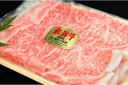 飛騨牛サーロイン・ももしゃぶしゃぶセット 各470g  牛肉 国産 ブランド牛【11-30】【冷凍】