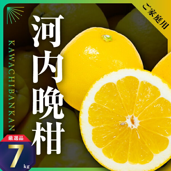 【ふるさと納税】三代目の河内晩柑7kg(家庭用)【C31-30】_ 晩柑 河内晩柑 みかん ミカン 柑橘 フルーツ 果物 くだもの 青果 産地直送 産直 愛媛 甘い ジューシー 冷蔵 和製グレープフルーツ さっぱり 【配送不可地域：離島】【1232986】 YWTAC019