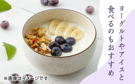 【数量限定】冷凍ブルーベリー 大粒 計1kg (約500g×2パック) 熊本県産ブルーベリー 山都町産 ブルーベリー フルーツ スムージー 果物 小分け 国産ブルーベリー 冷凍ブルーベリー 九州ブルー