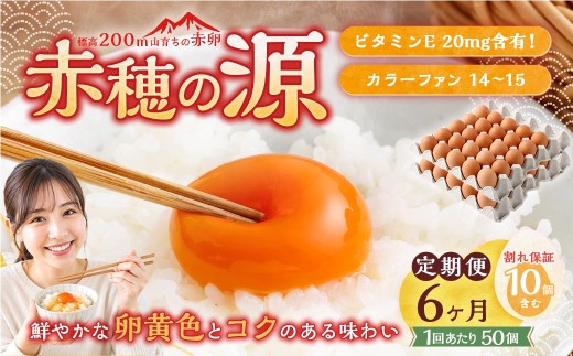 【6ヶ月定期便】 赤穂の源 50個 （40個+割れ保証10個）（25×2パック）6回 定期便 計300個 割れ保障 鶏卵 卵 たまご 卵かけご飯 卵焼き 朝ごはん ご飯 ご褒美 冷蔵 兵庫県 赤穂市