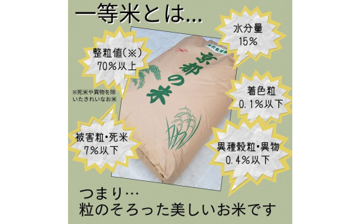 【寄附額改定】【令和7年産】京都丹波米 きぬひかり 玄米 30kg《米 一等米 キヌヒカリ 特別栽培米 減農薬》※北海道・沖縄・離島への配送不可【～3月31日まで】