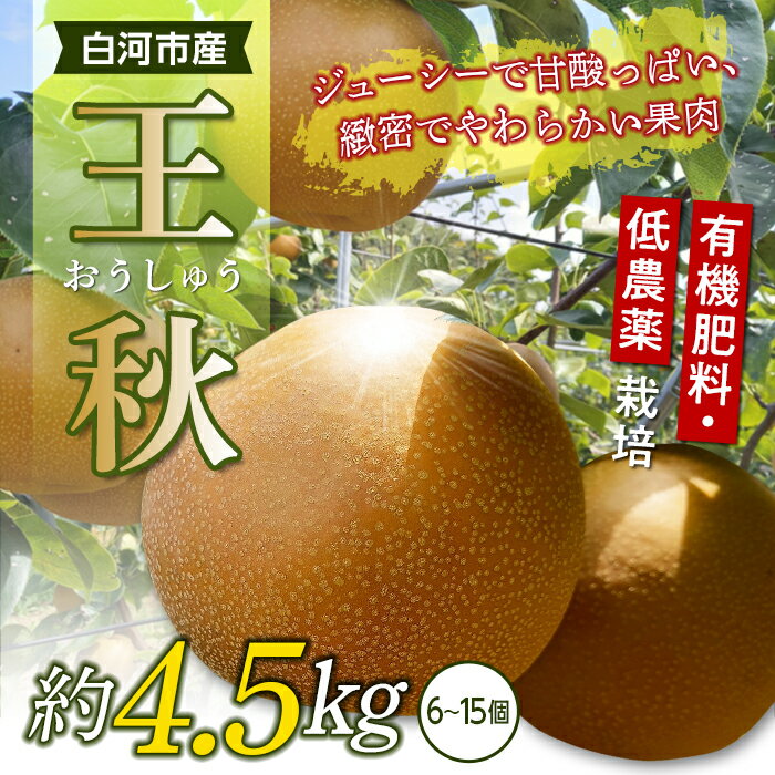 【ふるさと納税】有機肥料・低農薬栽培の梨「王秋」約4.5kg（6～15個） F21R-568