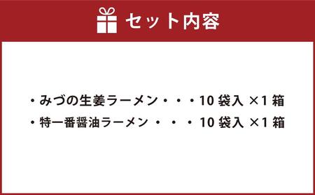 藤原製麺 旭川製造 みづの生姜ラーメン 1箱(10袋入)/特一番醤油ラーメン 1箱(10袋入)インスタント袋麺_03490