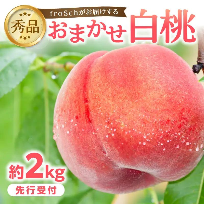 ≪先行受付≫ froSchがお届けするおまかせ白桃 約2kg 【2026年7月下旬より順次発送予定】 060-001