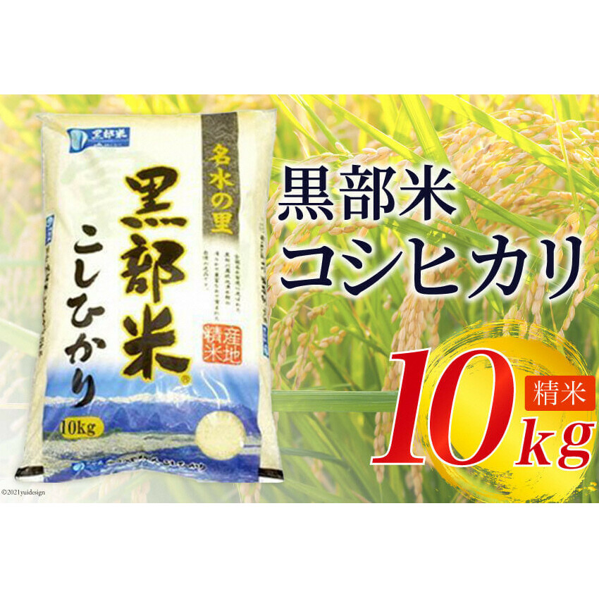 【令和7年産】 黒部米 コシヒカリ 10kg  精米