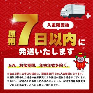 【スピード発送】 秋刀魚だしラーメン 9食