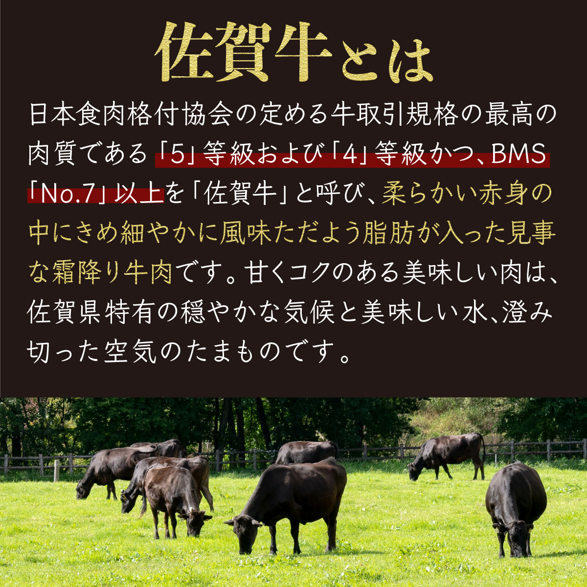 3500g 佐賀牛｢いちぼブロック｣ H-199_イメージ2