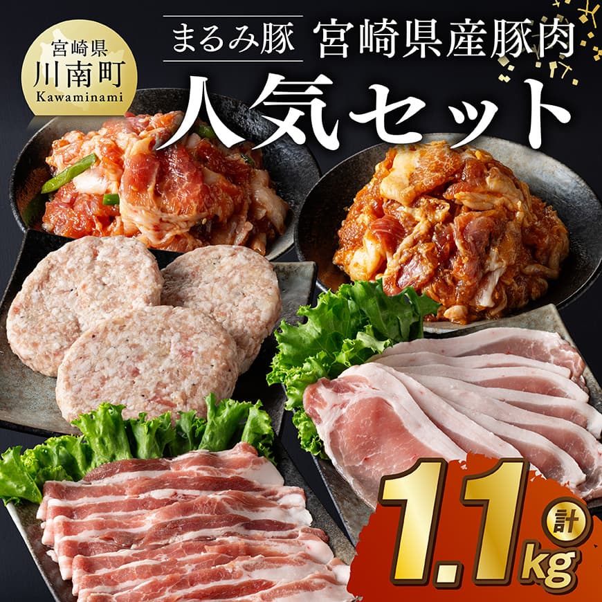 「まるみ豚」宮崎県産豚肉　人気セット　計1.1kg　豚肉 豚 肉 [D11512]