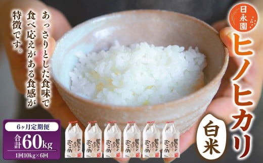 【6ヶ月定期便】日永園 ヒノヒカリ 白米10kg×6ヶ月 【2025年11月下旬より発送予定】 米 お米 ご飯 うきは市