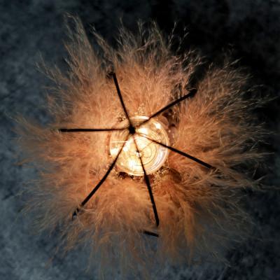 ふるさと納税 和泉市 ドライフラワーのおしゃれなインテリアランプ(ピンク)デザイナーの手作り一点モノ |  | 02