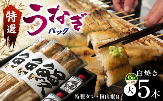【偶数月 定期6回】特選うなぎパック５本セット タレ、粉山椒付 | 特選うなぎ 贅沢うなぎ 5本セット 高級うなぎ 肉厚 炭火焼うなぎ 贅沢 肉厚うなぎ蒲焼特選 炭火焼うなぎ ギフト ふるさと納税 栃木県 那珂川町 送料無料