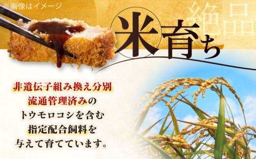 三元豚 ロースステーキ 8枚（100g/枚) 肉 豚肉 ロース ステーキ ステーキ用