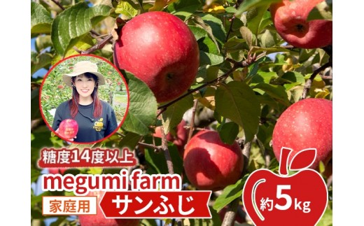 
                  【11月中旬発送】数量限定 訳あり りんご 糖度14度以上 保証 家庭用 サンふじ 約 5kg 果物 高糖度 農家直送 megumi farm青森県 鰺ヶ沢町
                