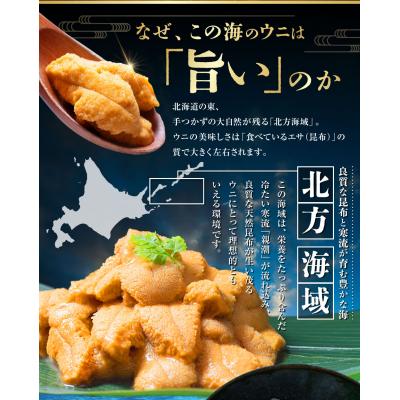 ふるさと納税 釧路市 【6月中旬(予定)〜9月発送不可】【特選】 塩水ウニ100g(エゾバフンウニ) うに 雲丹 |  | 01