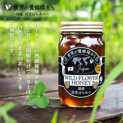 ふるさと納税 太田市 国産 おおたはちみつ 300g×2個セット |  | 02