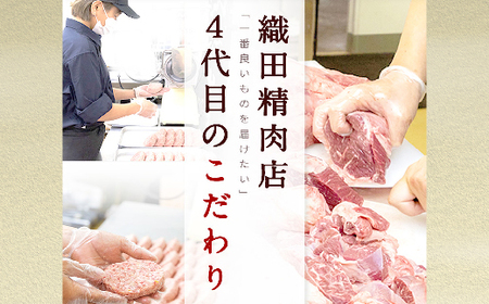 【定期便 偶数月×６回】老舗の佐賀牛 A5 ローススライス 500g×6回 定期便 _l-9