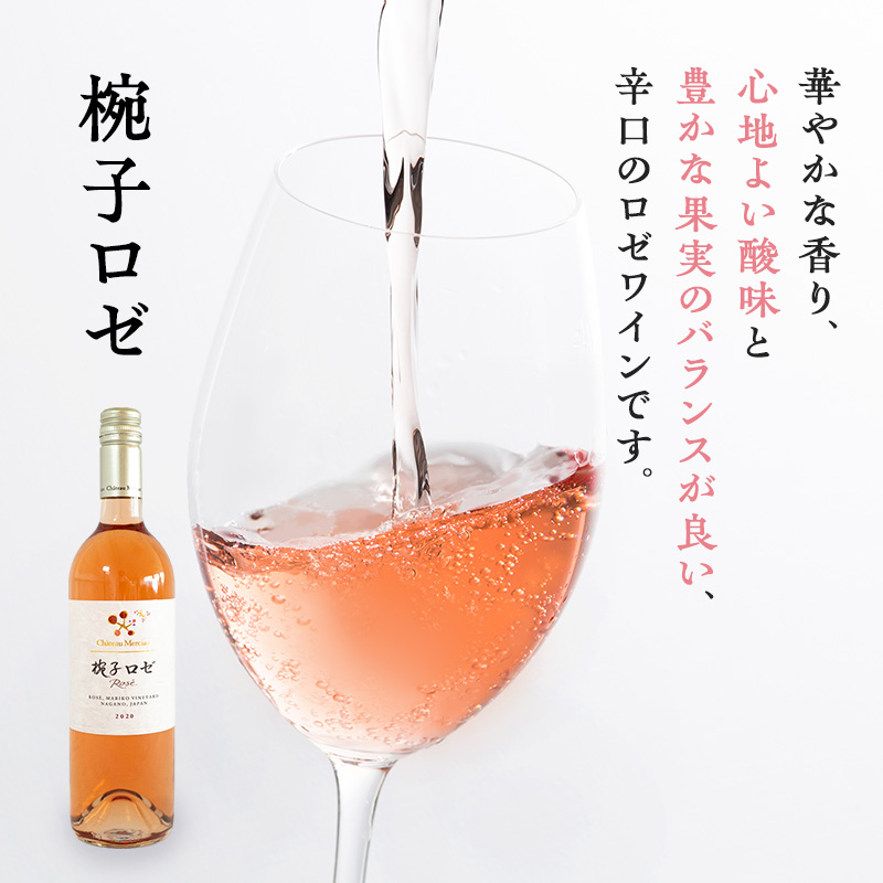 限定 ワイン 椀子ヴィンヤードを味わうお試し セット 2本 