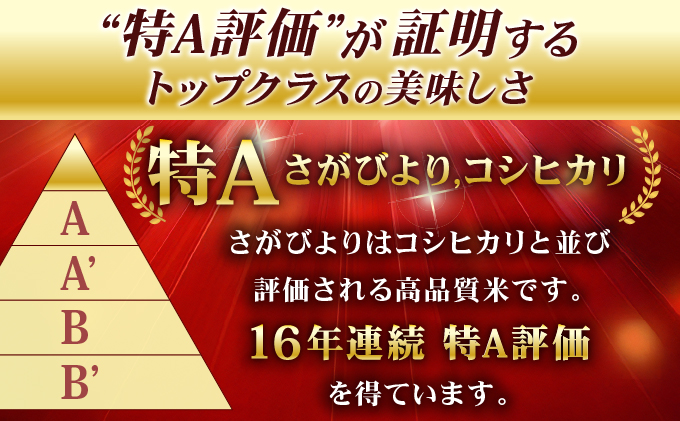 《佐賀海苔付き》《順次発送》令和7年産 さがびより 佐賀県産（精米）20kg 【F-152-AS(0)】