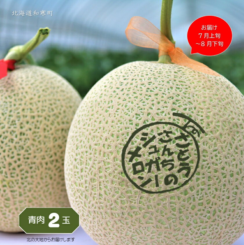 【ふるさと納税】≪令和7年産≫ さとうさんちのシュガーメロン(青肉2玉) ふるさと納税 メロン 北海道 【7～8月お届け】